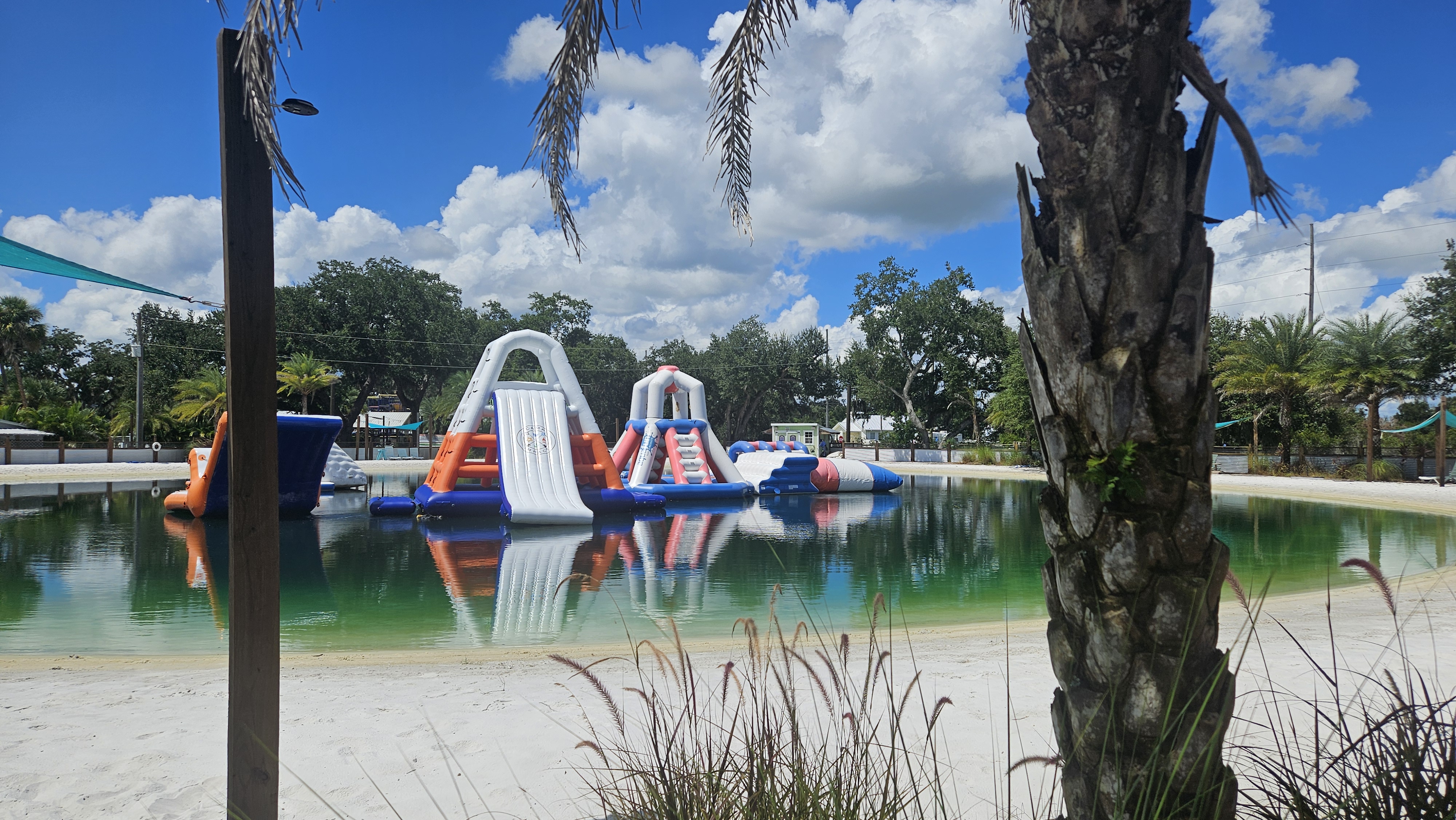 Tropical view of Camp Impact's water park through palm fronds